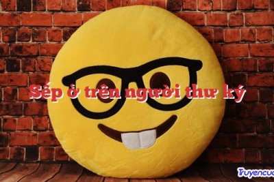 Sếp ở trên người thư ký