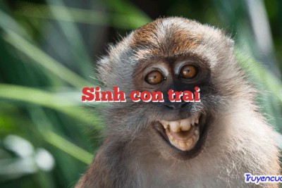 Sinh con trai