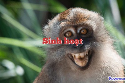 Sinh hoạt