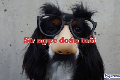 Sờ ngực đoán tuổi