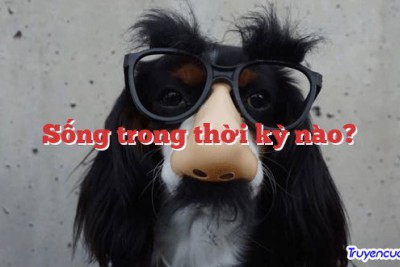 Sống trong thời kỳ nào? 		