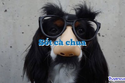Sốt cà chua
