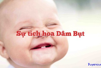 Sự tích hoa Dâm Bụt