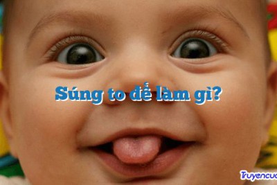 Súng to để làm gì? 		