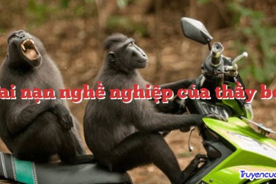 Tai nạn nghề nghiệp của thầy bói 		