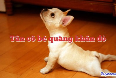 Tân cô bé quàng khăn đỏ
