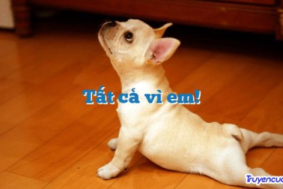 Tất cả vì em!