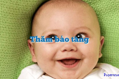 Thăm bảo tàng