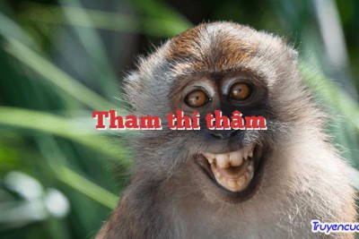 Tham thì thâm 		