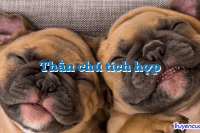 Thần chú tích hợp