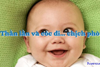 Thằn lằn và cóc đi… chịch phò 		