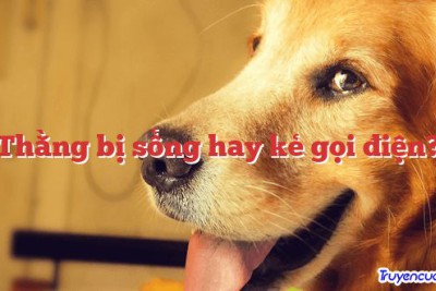 Thằng bị sổng hay kẻ gọi điện? 		