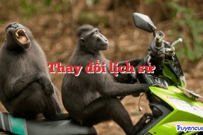 Thay đổi lịch sử 		