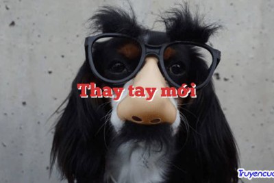 Thay tay mới