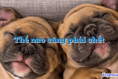 Thế nào cũng phải chết 		