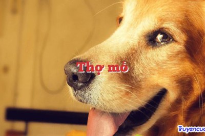 Thợ mỏ
