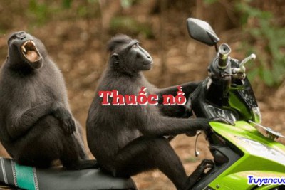 Thuốc nổ