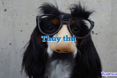 Thủy thủ