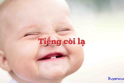 Tiếng còi lạ