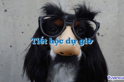 Tiết học dự giờ 		