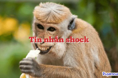 Tin nhắn shock 		