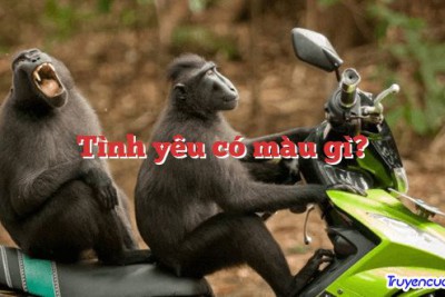 Tình yêu có màu gì?