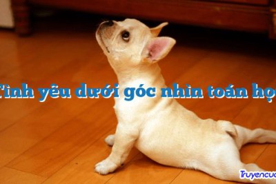 Tình yêu dưới góc nhìn toán học 		
