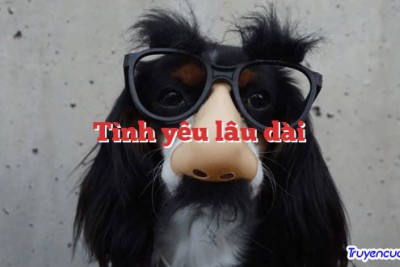 Tình yêu lâu dài 		