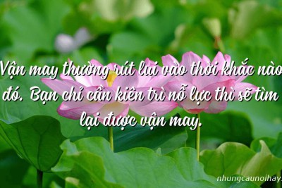 Tổng hợp những câu nói hay về sự nỗ lực nổi tiếng nhất 		