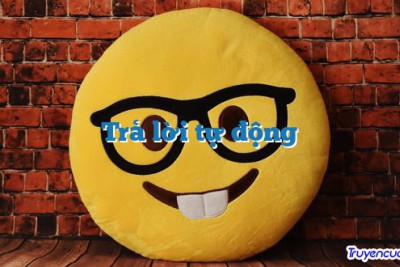 Trả lời tự động 		