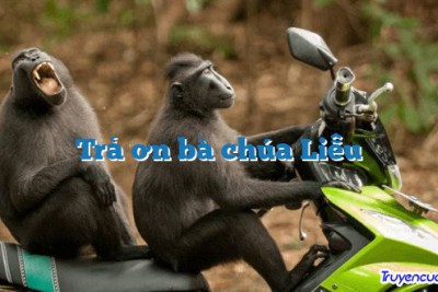 Trả ơn bà chúa Liễu 		