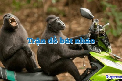 Trận đồ bát nháo 		
