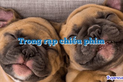 Trong rạp chiếu phim 		