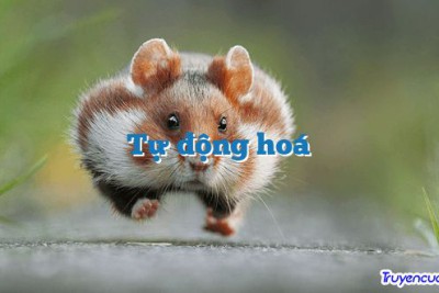 Tự động hoá