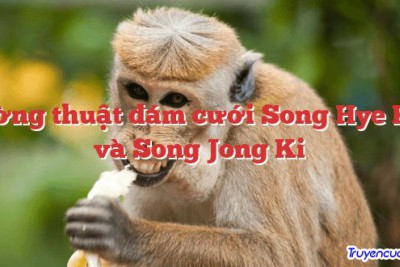 Tường thuật đám cưới Song Hye Kyo và Song Jong Ki 		