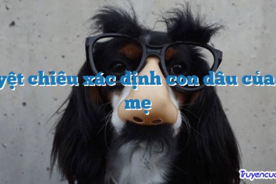 Tuyệt chiêu xác định con dâu của bà mẹ 		