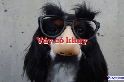 Váy có khuy