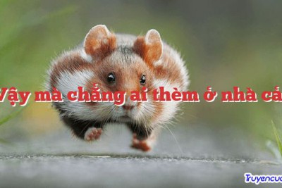 Vậy mà chẳng ai thèm ở nhà cả! 		