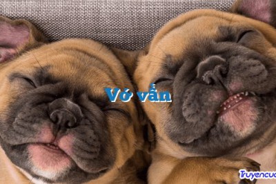 Vớ vẩn