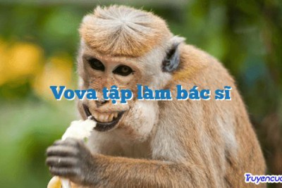 Vova tập làm bác sĩ 		