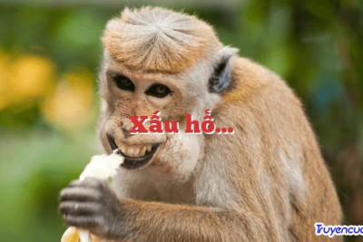 Xấu hổ…