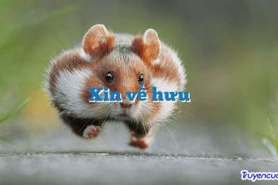 Xin về hưu