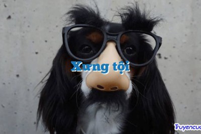 Xưng tội